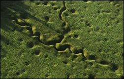 The-Somme
